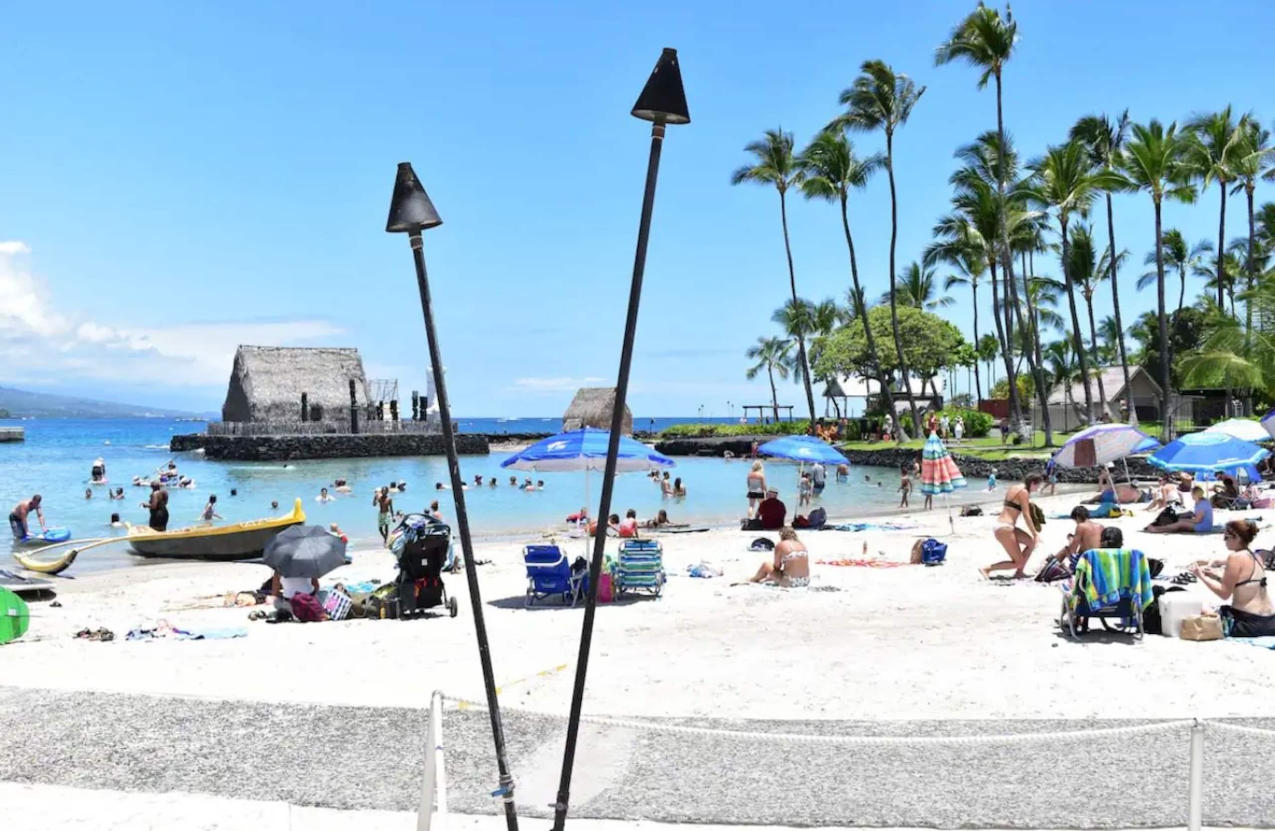 Aloha Studio - Photo 16