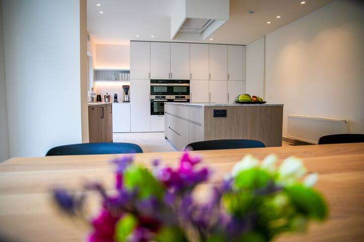 Kolonel Kamiel - 28p - Luxe Villa - Bray-Dunes