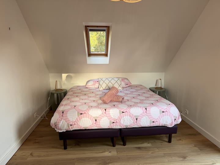 Habitación 2