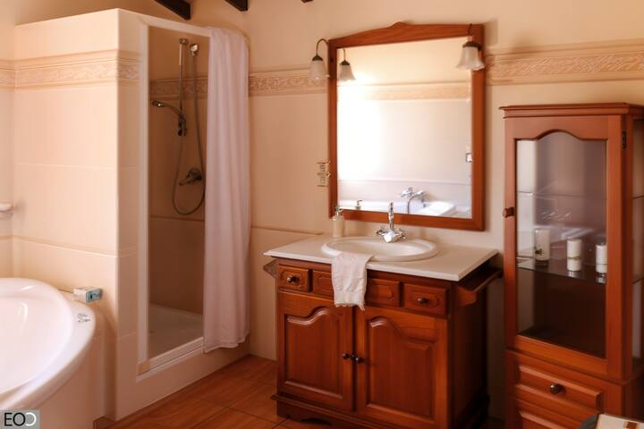 Baño completo 3 con ducha, mueble de madera y espejo: funcional y con encanto rústico.
