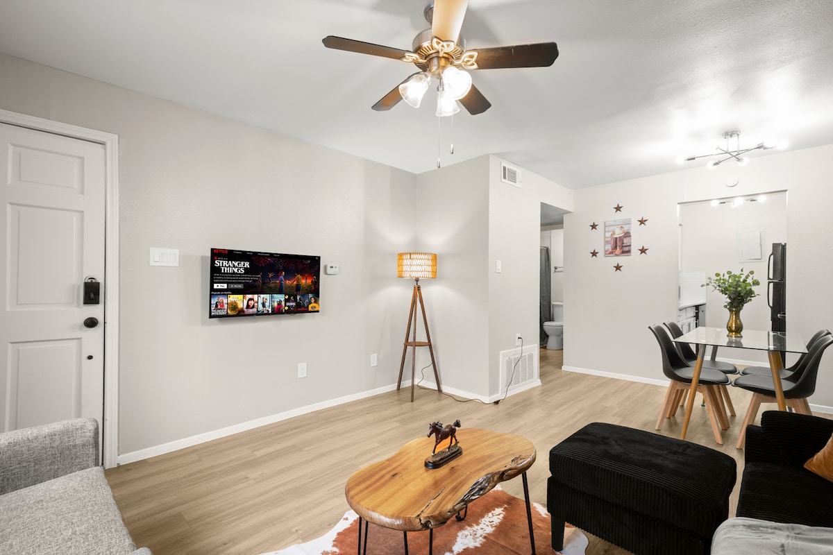 Austin Urban Apartment| Hyde Park Near Downtown