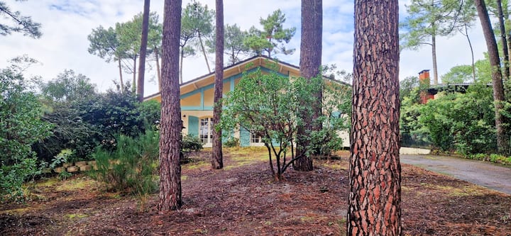 Villa Familiale Au Cœur Des Pins Proche Océan - Lacanau