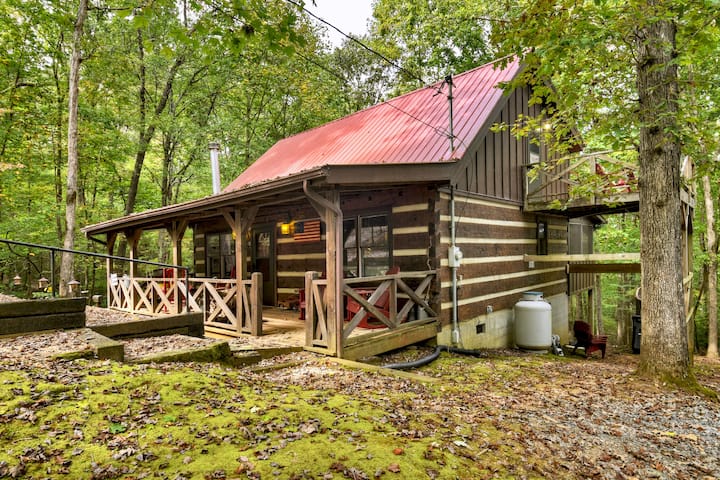 Curley's Cozy Cabin|private Porch|wooded Escape - Ellijay