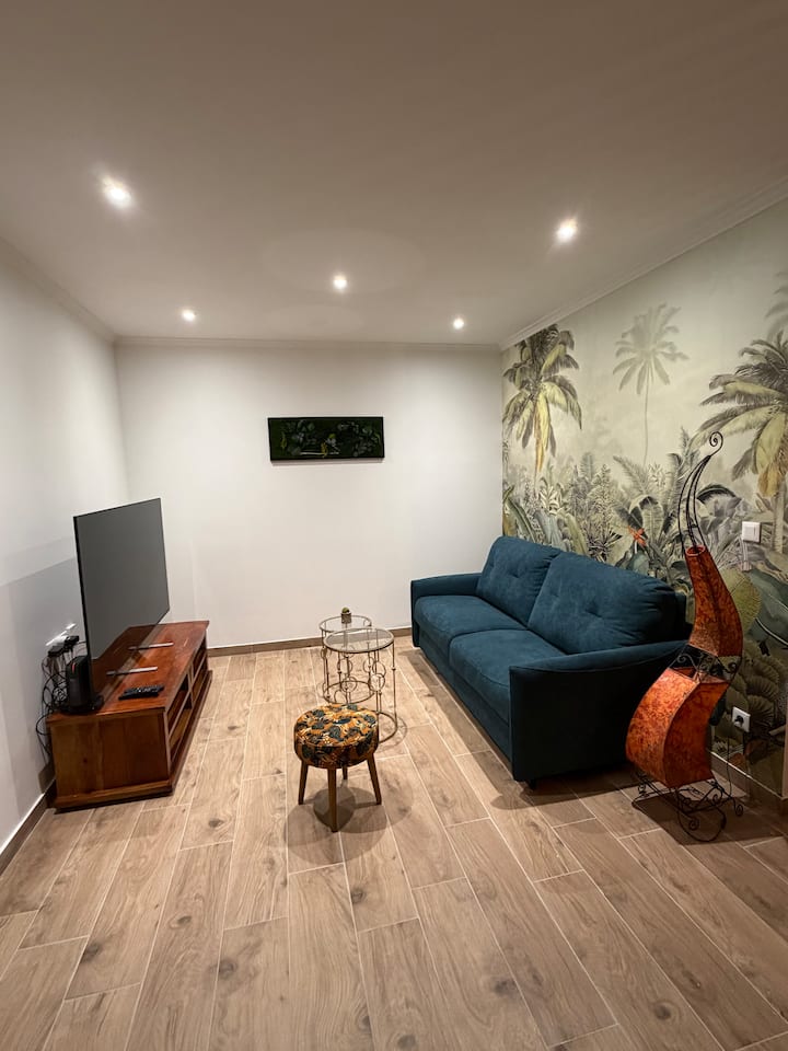 Les Platanes : Appartement “Le Tropical” - Pont-de-Vaux