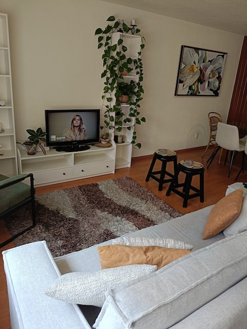 Top performing Airbnb: Comfortable apartment in El Valle in Benito Juárez