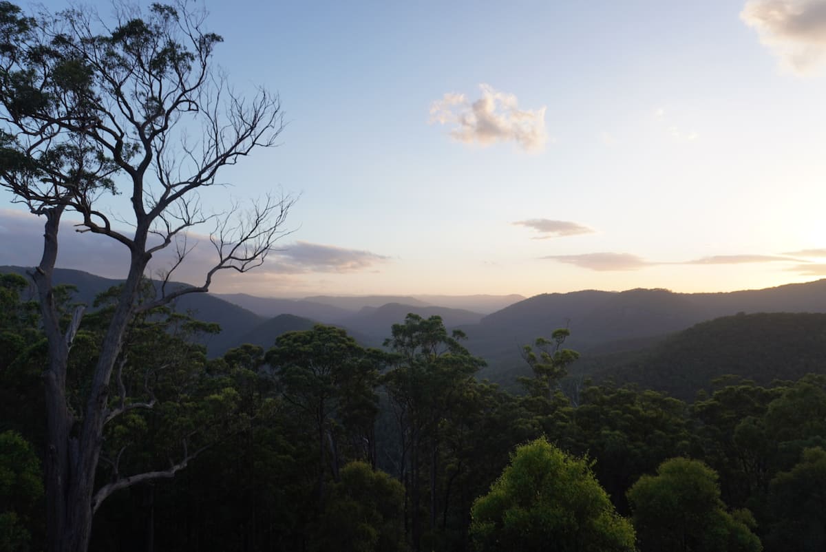 Hilltop home in the Gold Coast Hinterlands — photo via the host's Airbnb listing