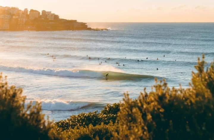 Bondi Beachside Escape - Surf & Vibe - Sydney