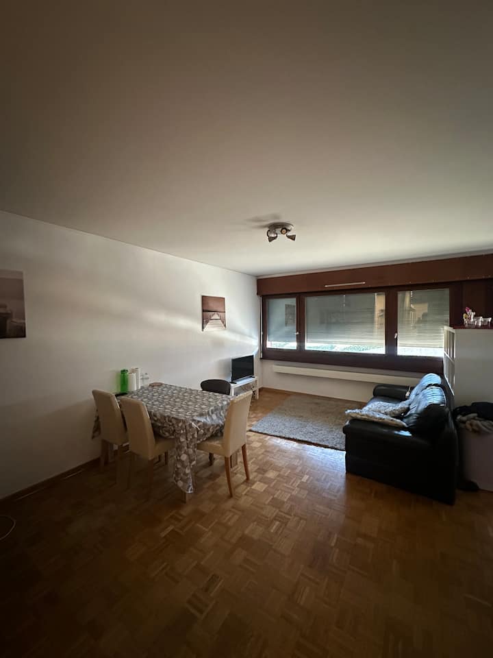 Studio Pratique - Quartier International | Onu - Ferney-Voltaire