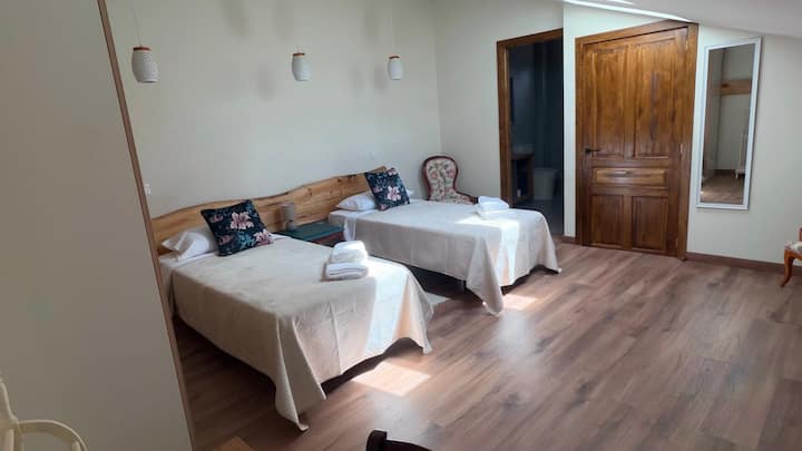 Habitación 1