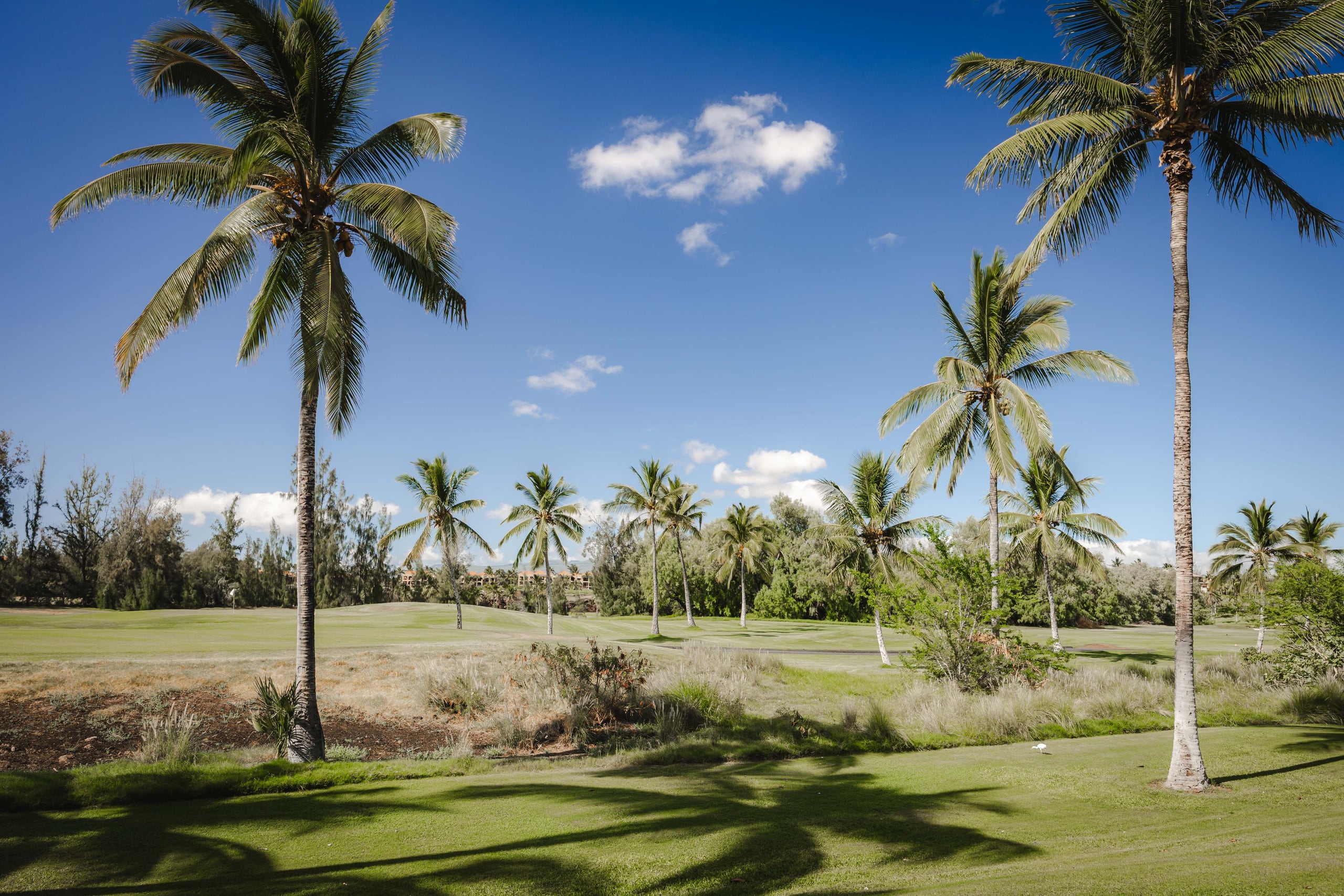 Golf View 3BD Villa / Infinity Pool / King beds - Photo 42