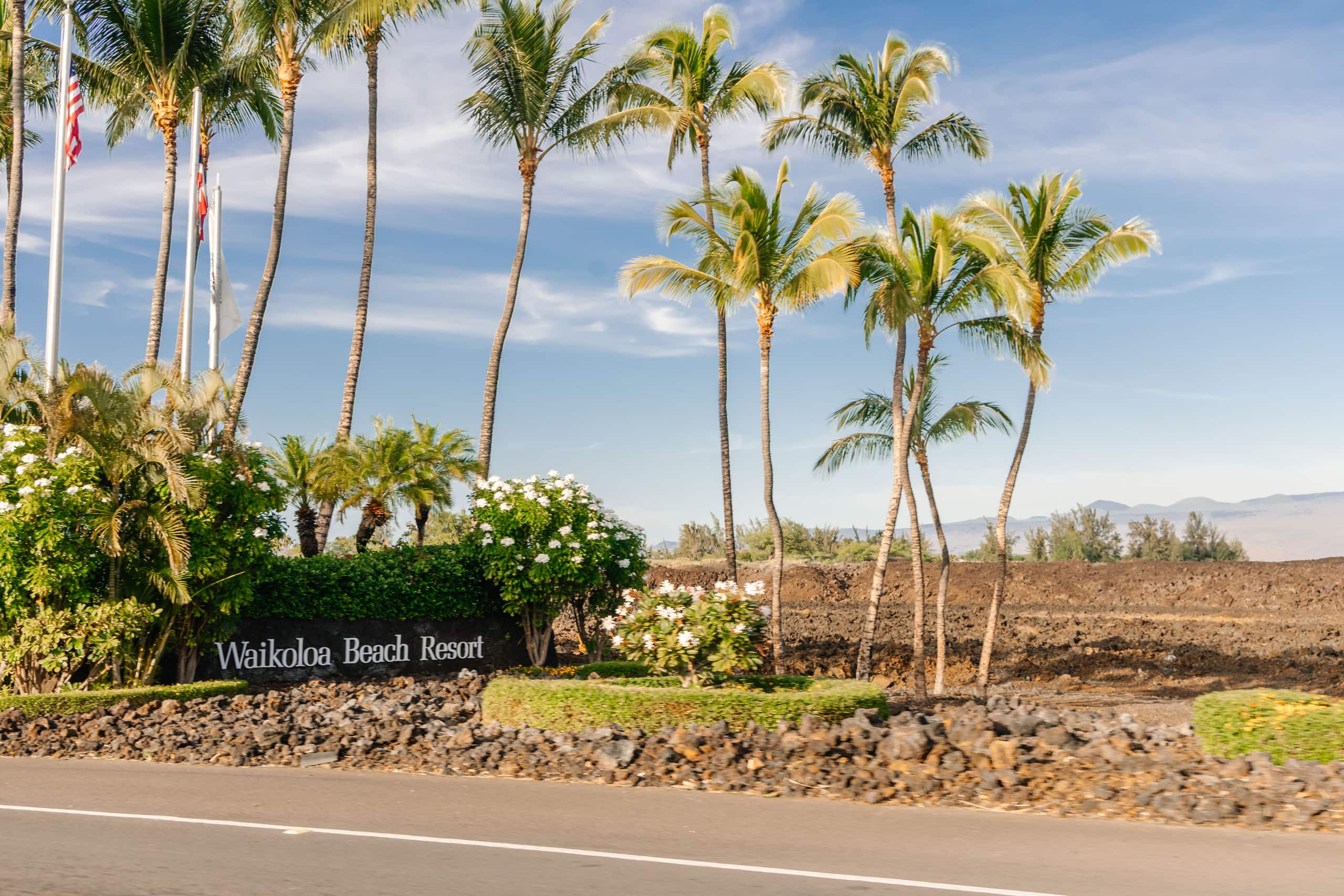 Golf View 3BD Villa / Infinity Pool / King beds - Photo 127