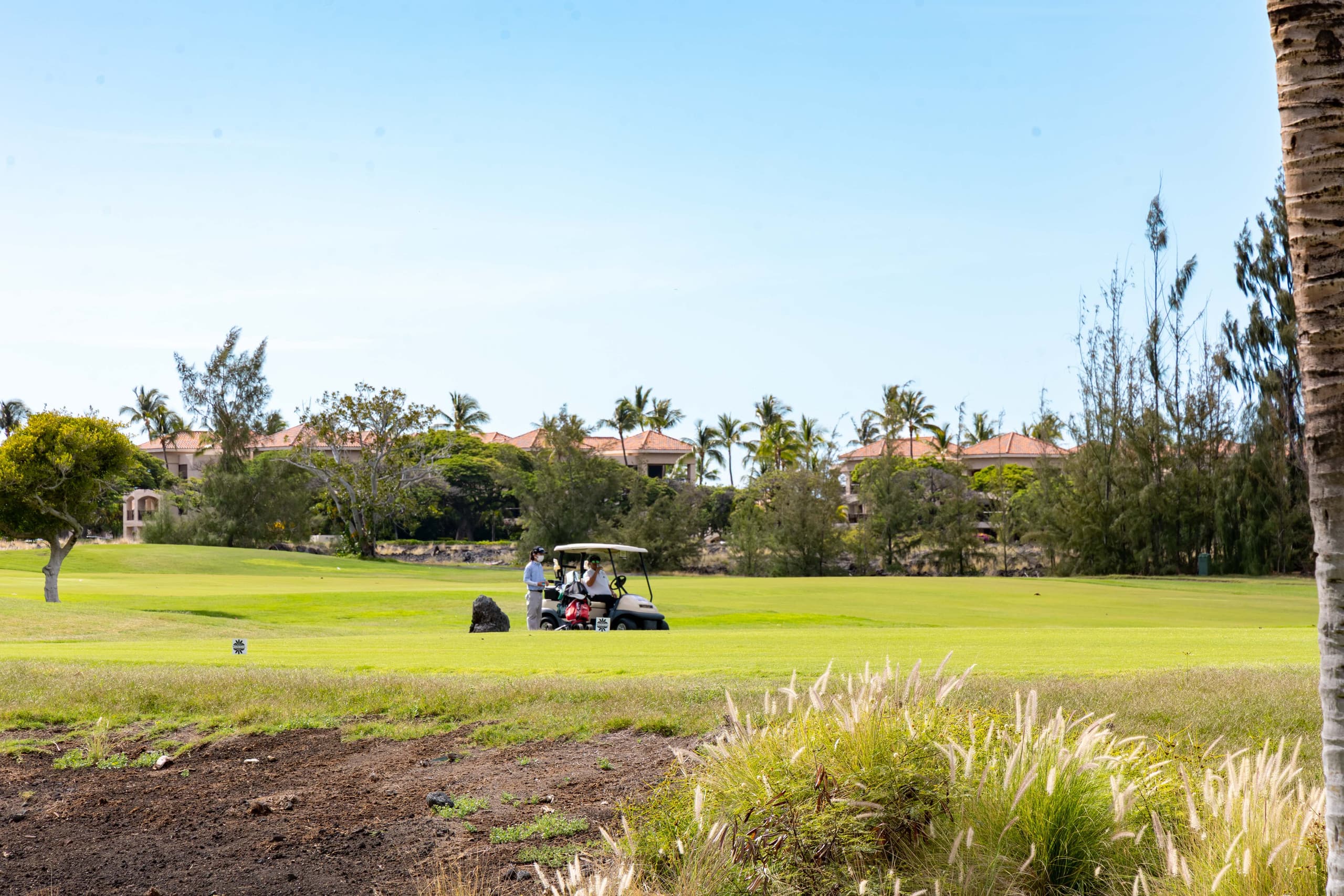 Golf View 3BD Villa / Infinity Pool / King beds - Photo 55