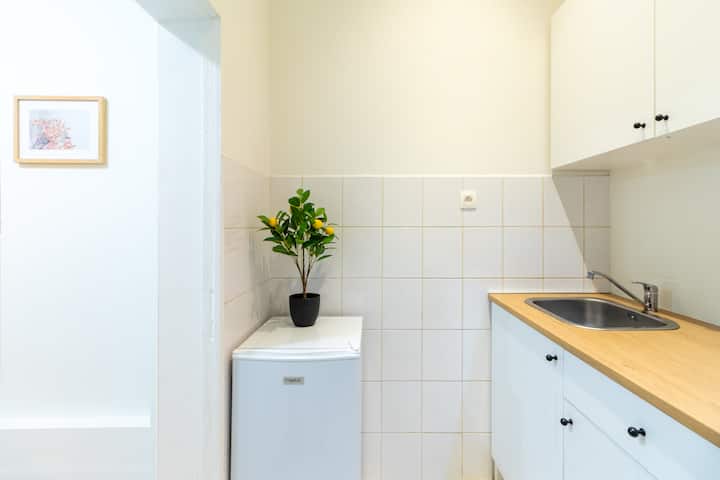 Studio Idéal Pour Visiter Bruxelles - Brussels