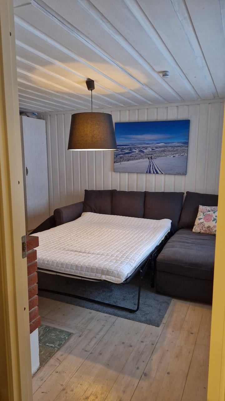 Kitanda cha sofa chenye upana wa sentimita 140