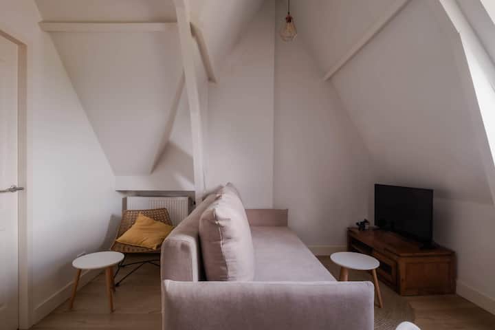 One Bedroom Apartment With Sloped Ceiling - Rotterdam