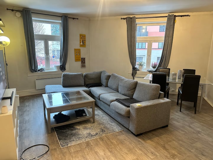 Cozy Apartment Close To The City And Transport - Oslo