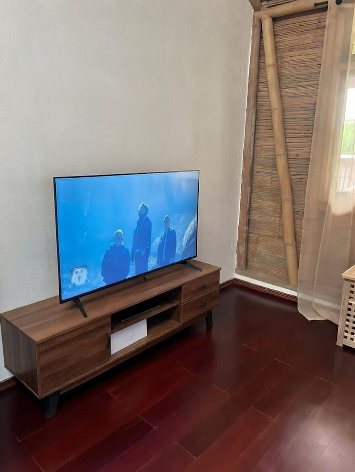Hava Tropical House Starlink And Private Pool - Dauin