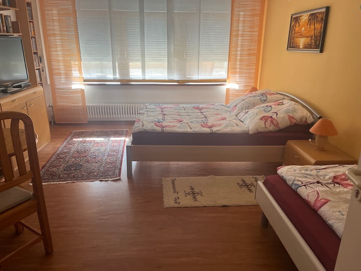 Fewo "Schmetterling" Mit Pool Und Sauna - Biesheim