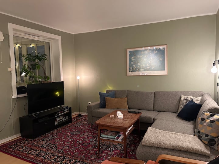 Cozy Apartment 20 Min From The Oslo City Centre - 奧斯陸
