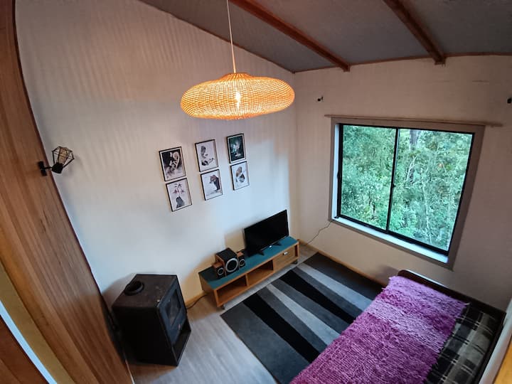 Дневен простор