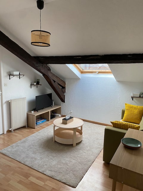 Successful Airbnb property: Le Cocon St-Amand – Premium Rouen City Center flat in Carmes Saint Maclou / Vieux Marché / Beauvoisine