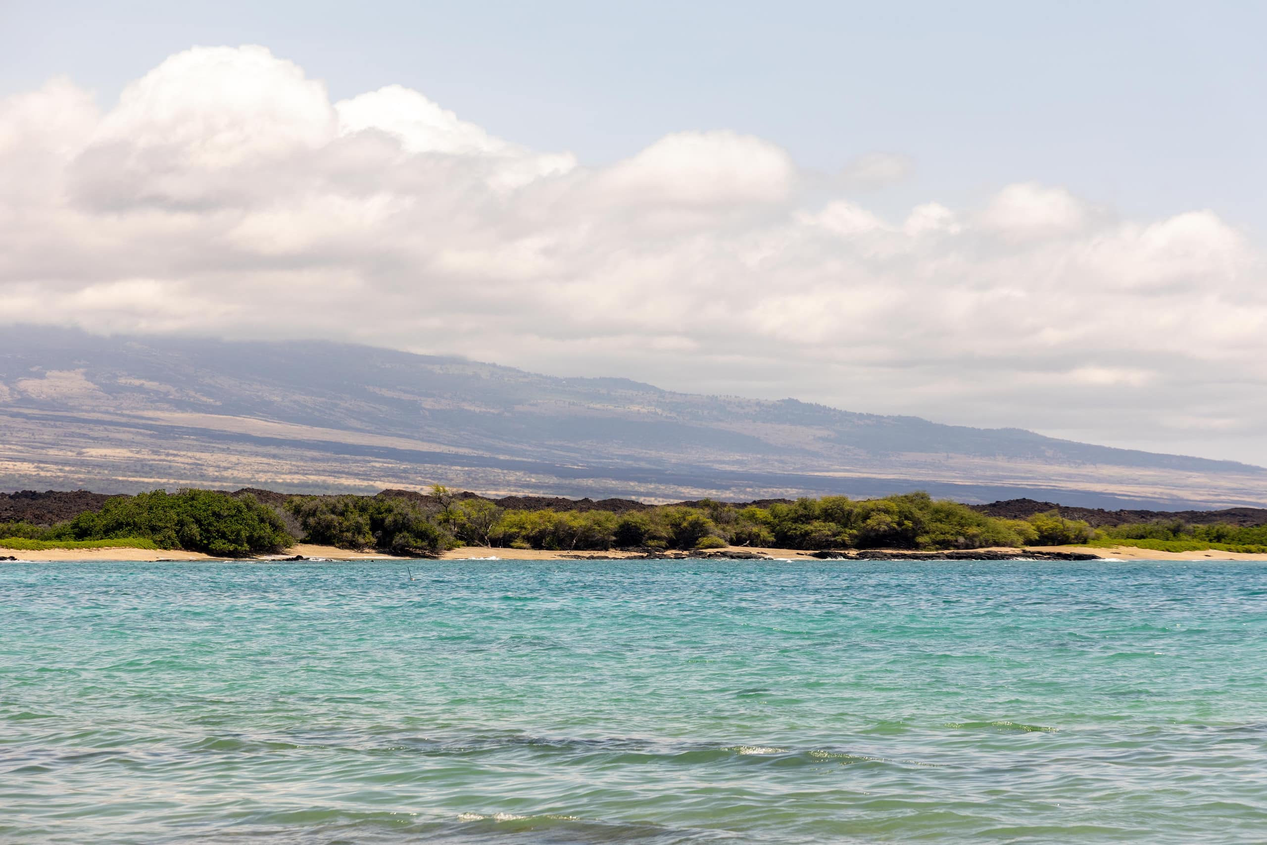 Condo in Waikōloa Beach · ★4.88 · 2 bedrooms · 4 beds · 2 baths - Photo 77