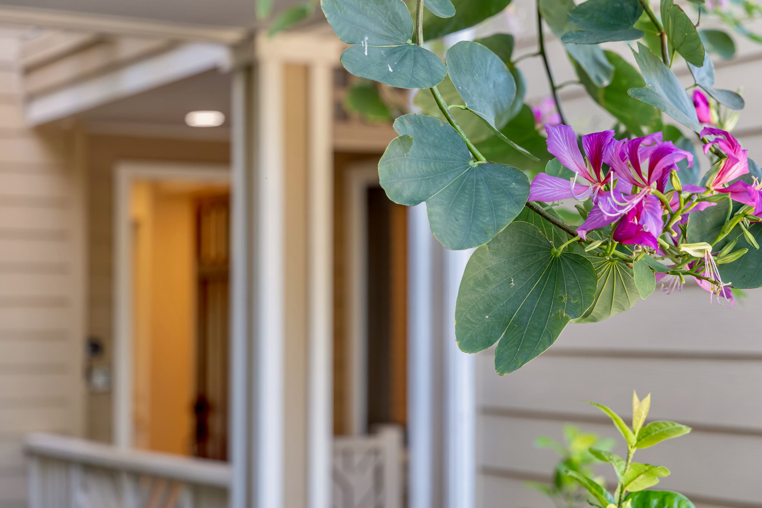 Condo in Waikōloa Beach · ★4.88 · 2 bedrooms · 4 beds · 2 baths - Photo 48