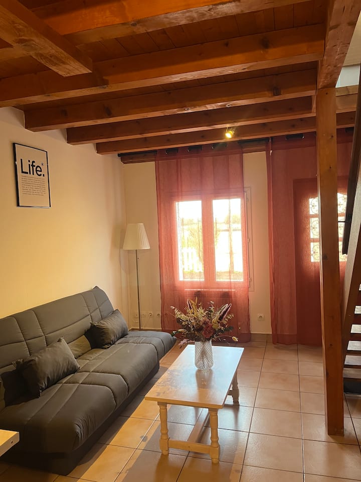 Charmant Appartement à 5 Min Du Centre De Tours - Fondettes