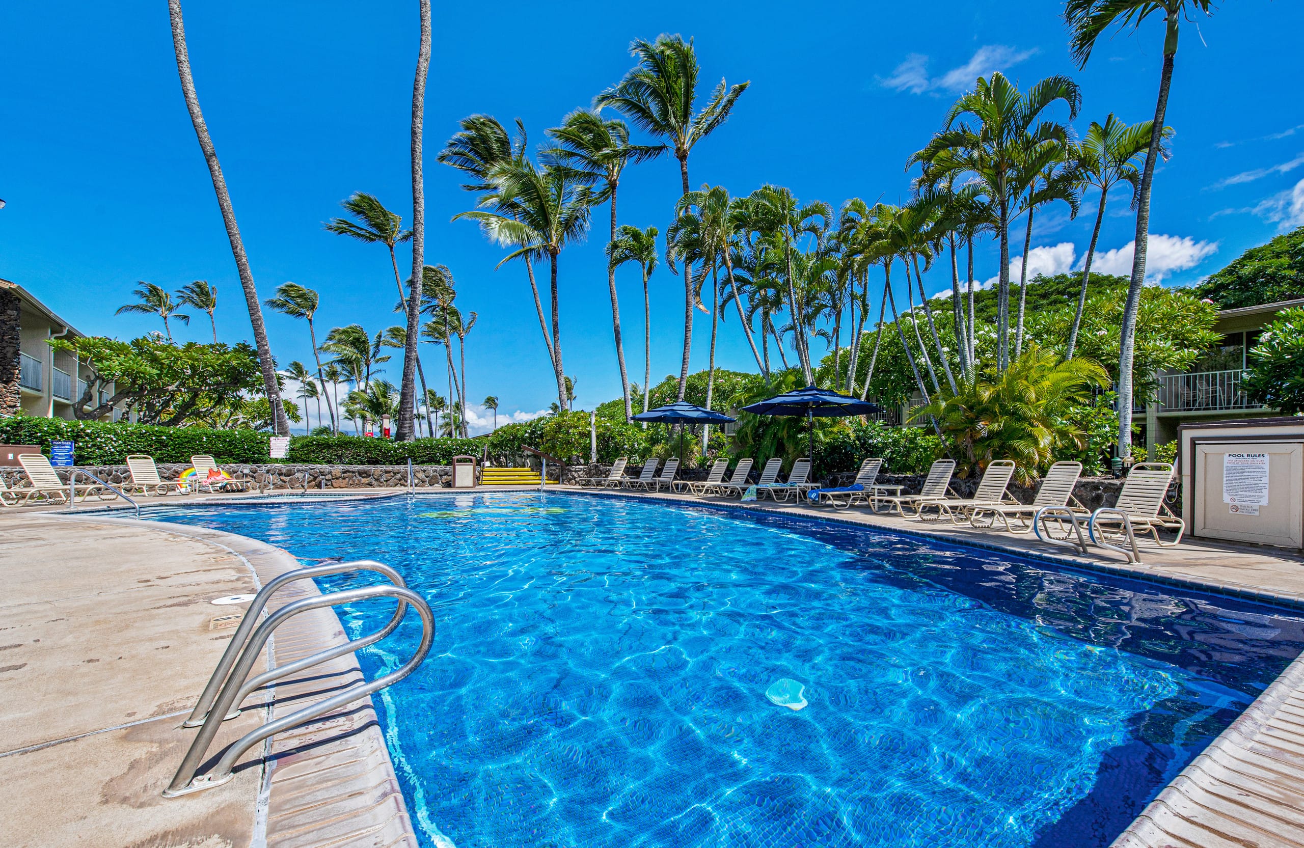 Peaceful oceanfront resort tropical studio with AC - Photo 22