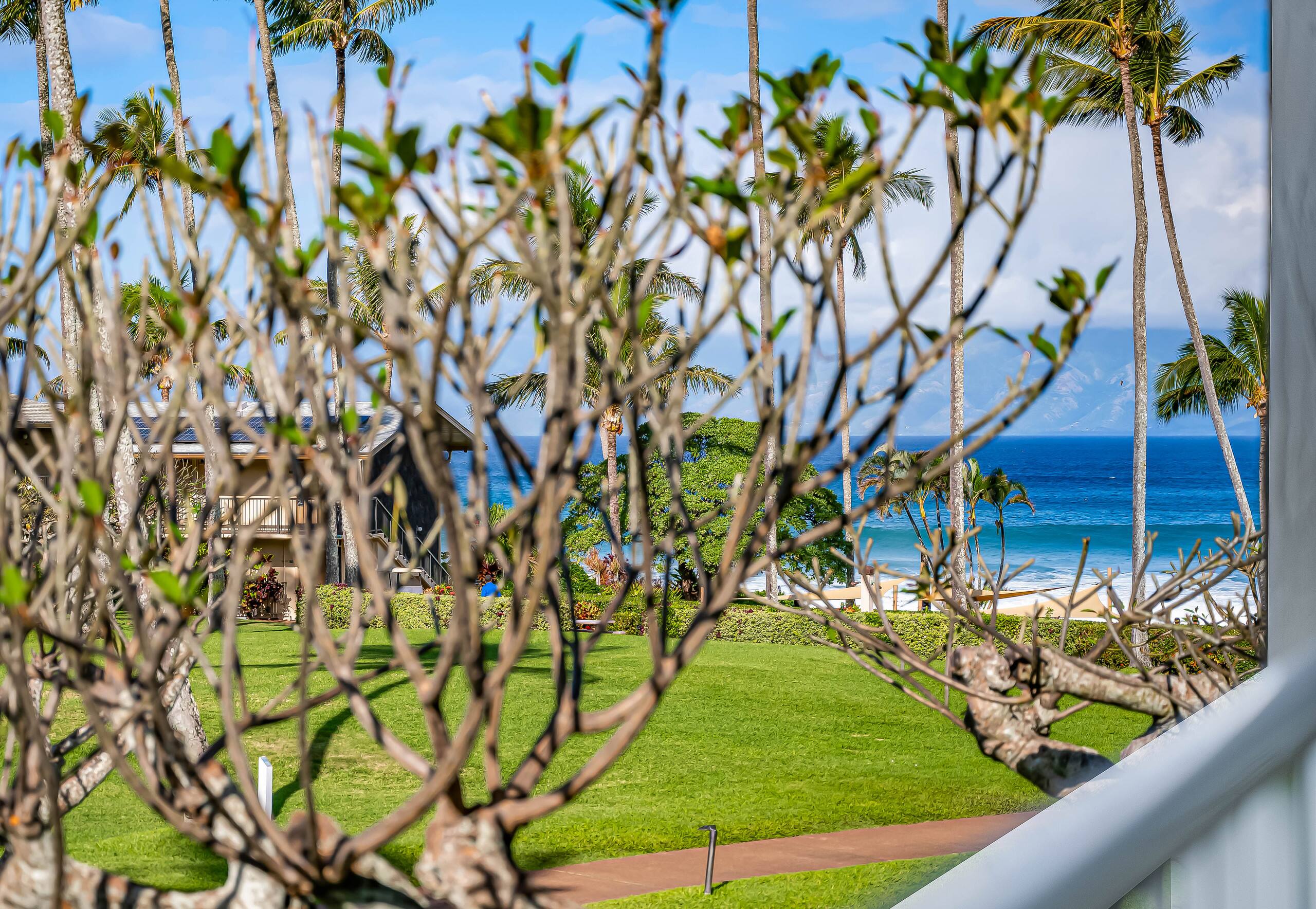 Peaceful oceanfront resort tropical studio with AC - Photo 39