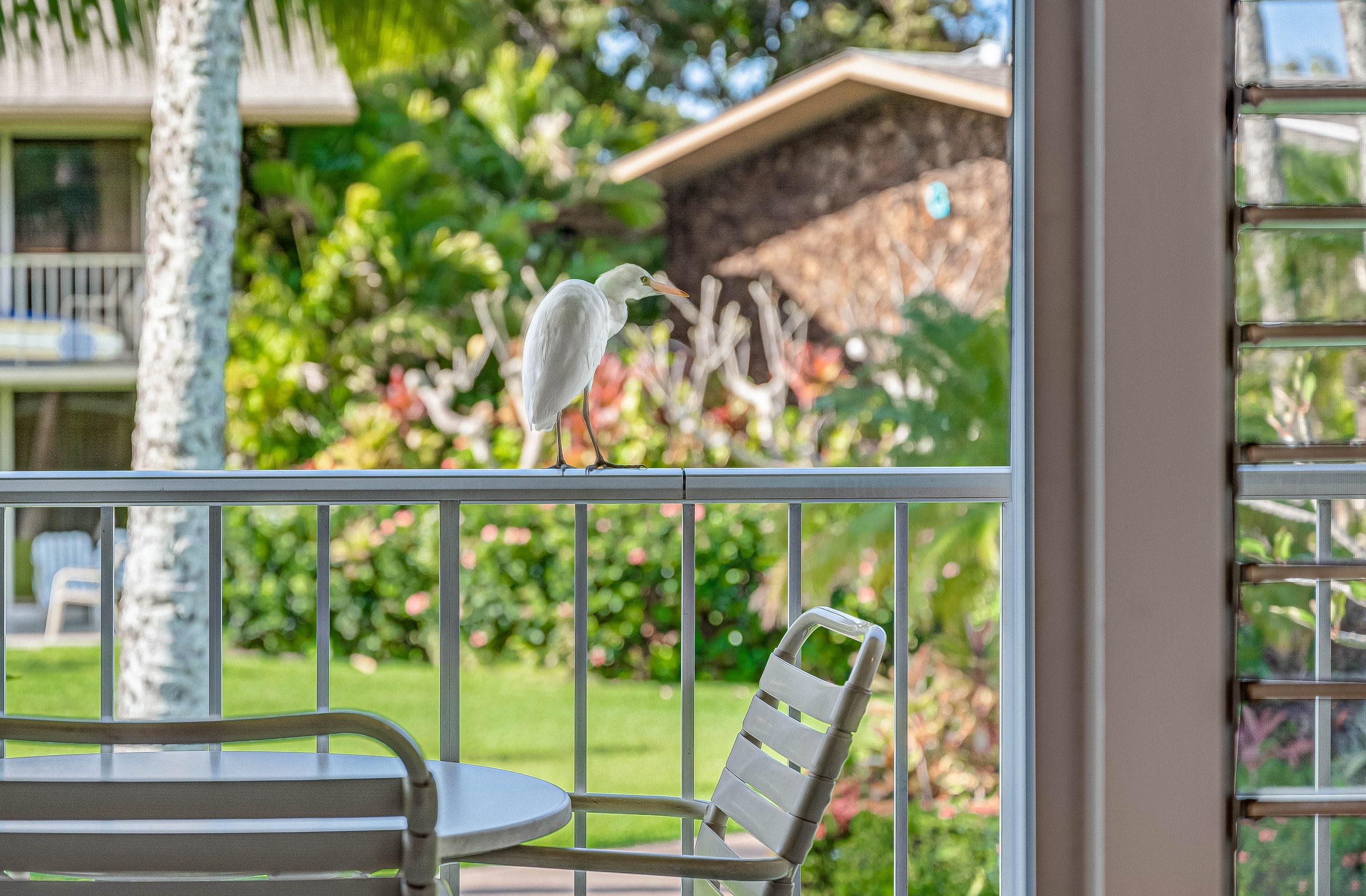 Peaceful oceanfront resort tropical studio with AC - Photo 19