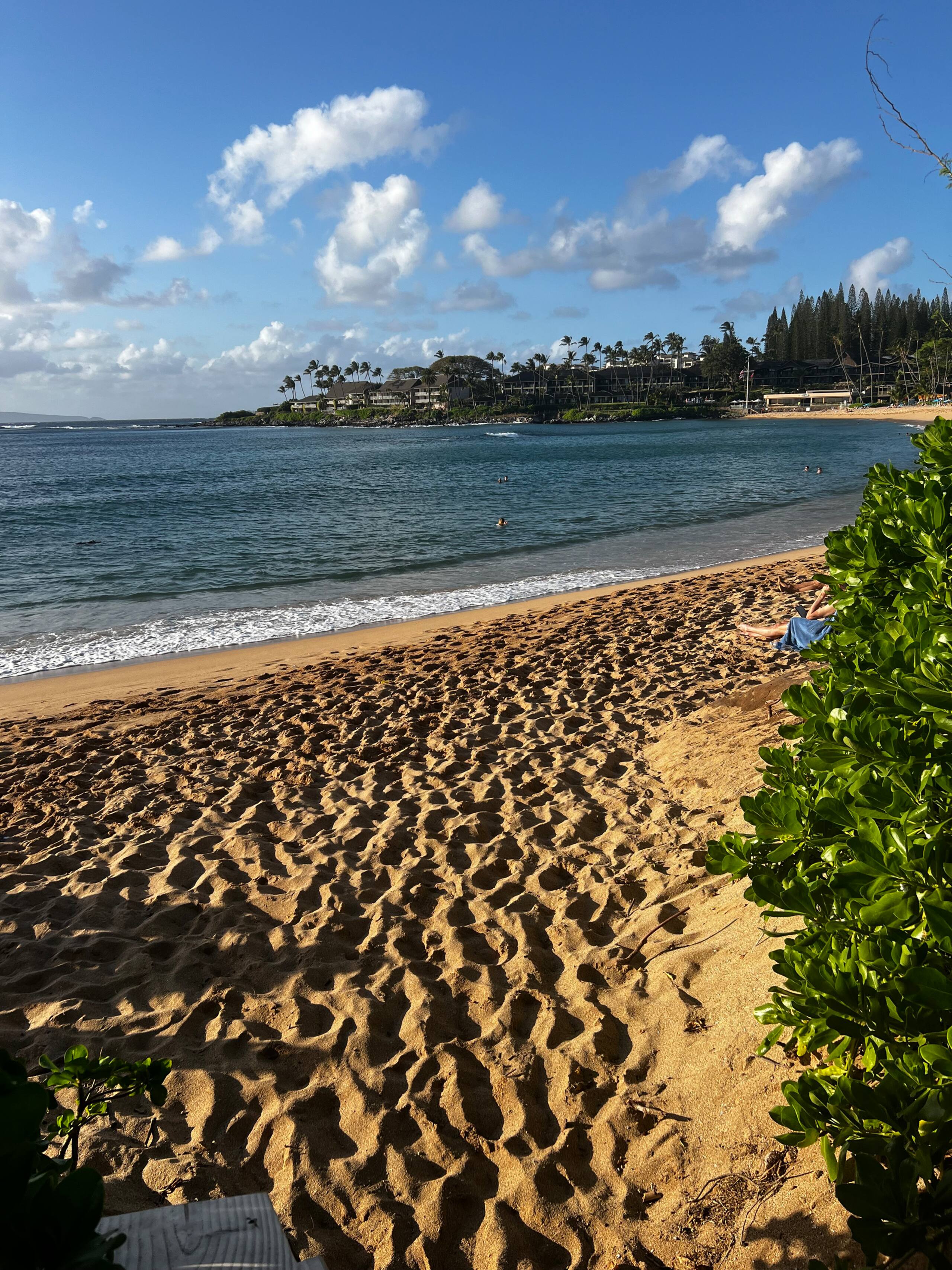 Peaceful oceanfront resort tropical studio with AC - Photo 31