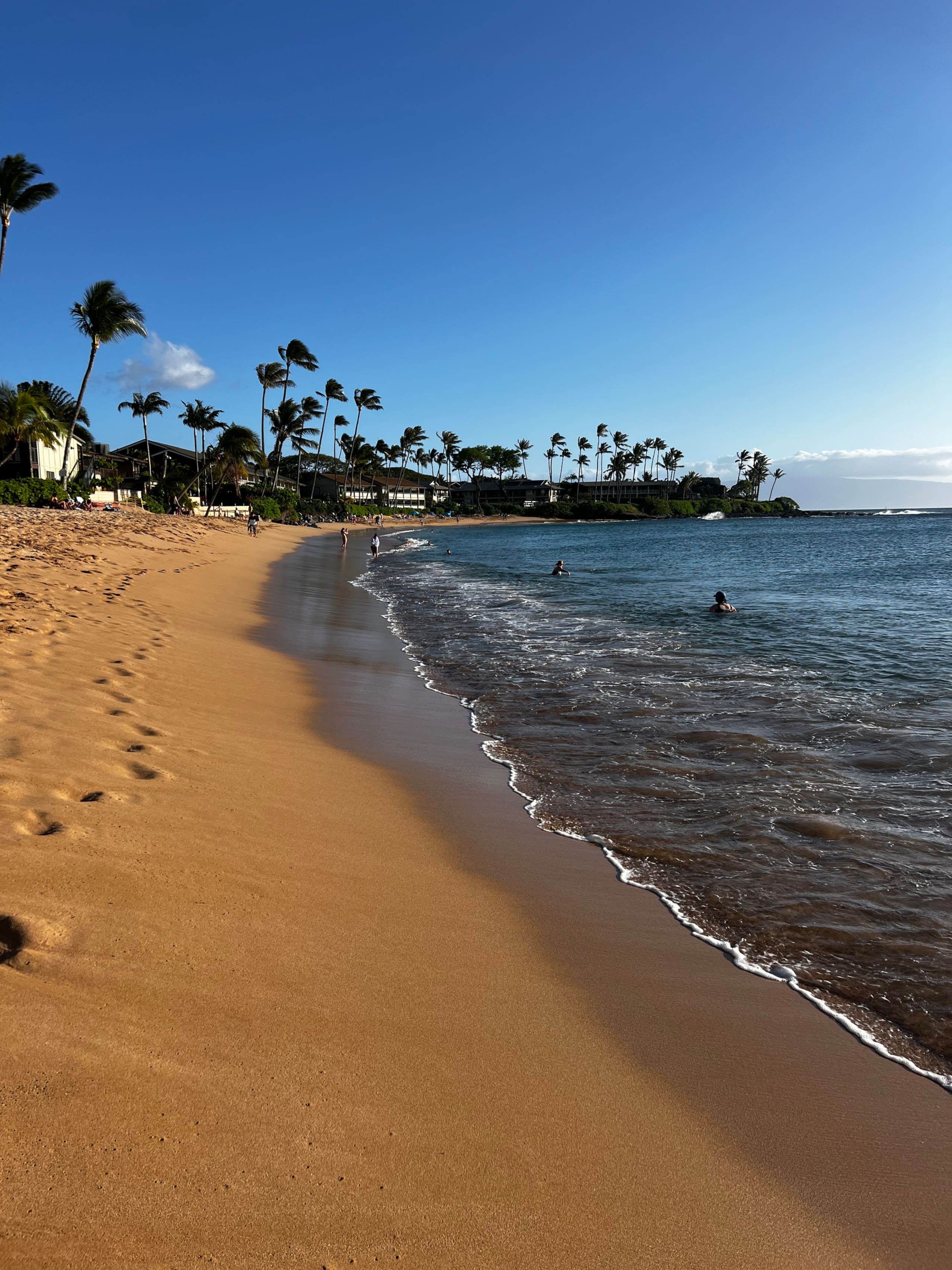 Peaceful oceanfront resort tropical studio with AC - Photo 47
