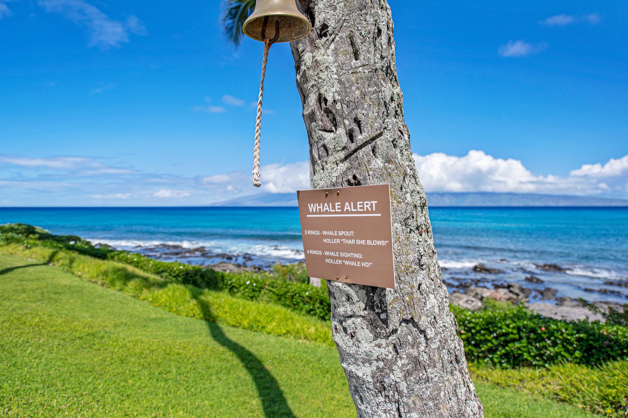 Spacious Maui retreat near Napili Bay AC & Pools - Image 29