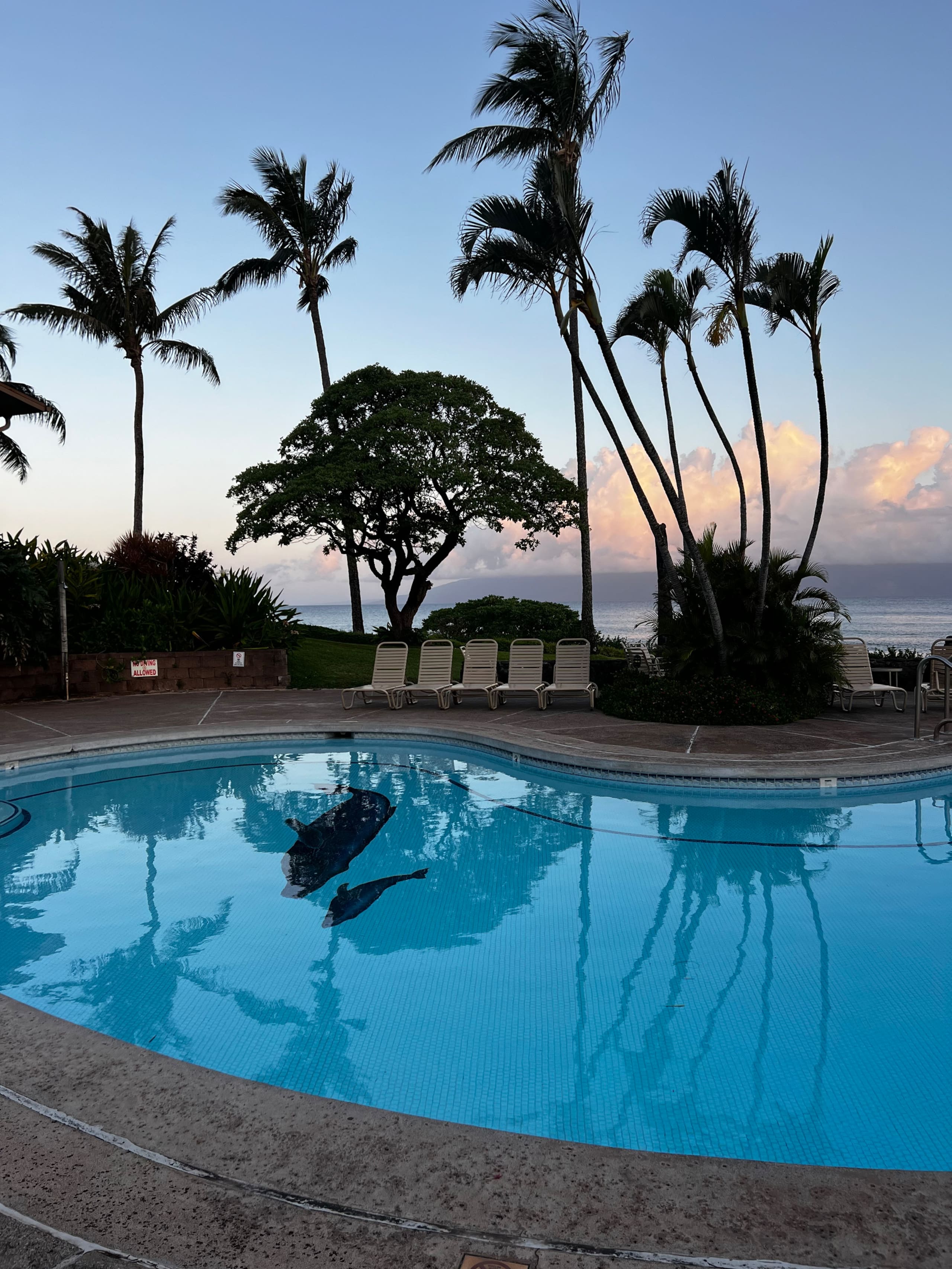 Spacious Maui retreat near Napili Bay AC & Pools - Image 8