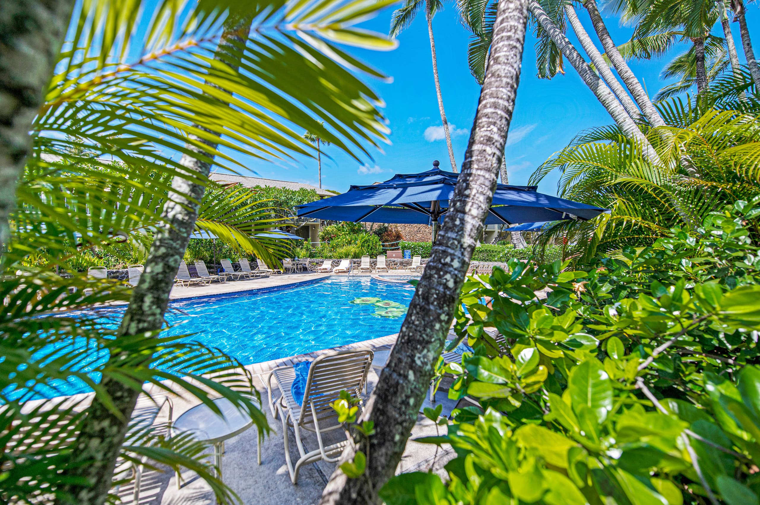 Spacious Maui retreat near Napili Bay AC & Pools - Image 37