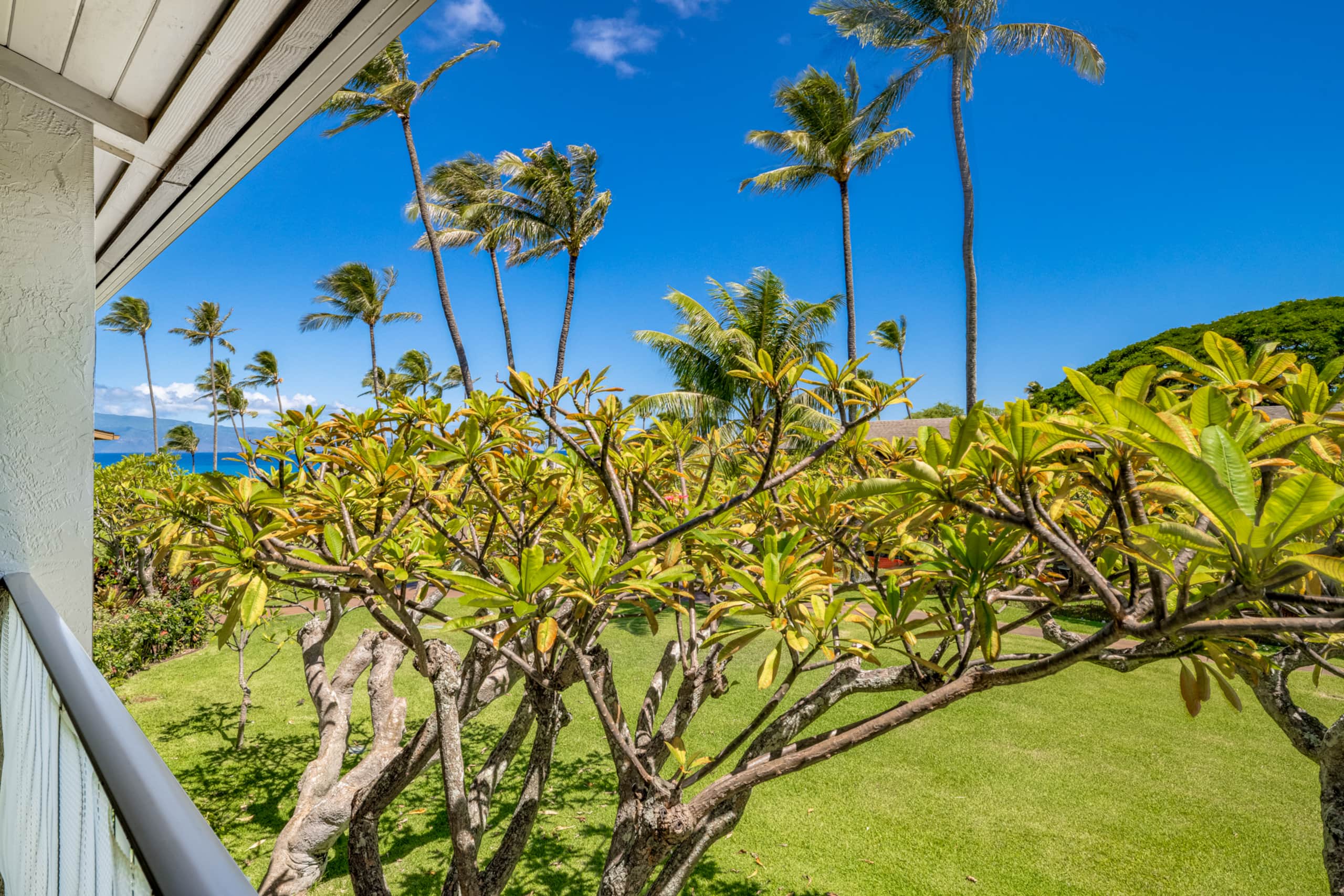 Spacious Maui retreat near Napili Bay AC & Pools - Image 41