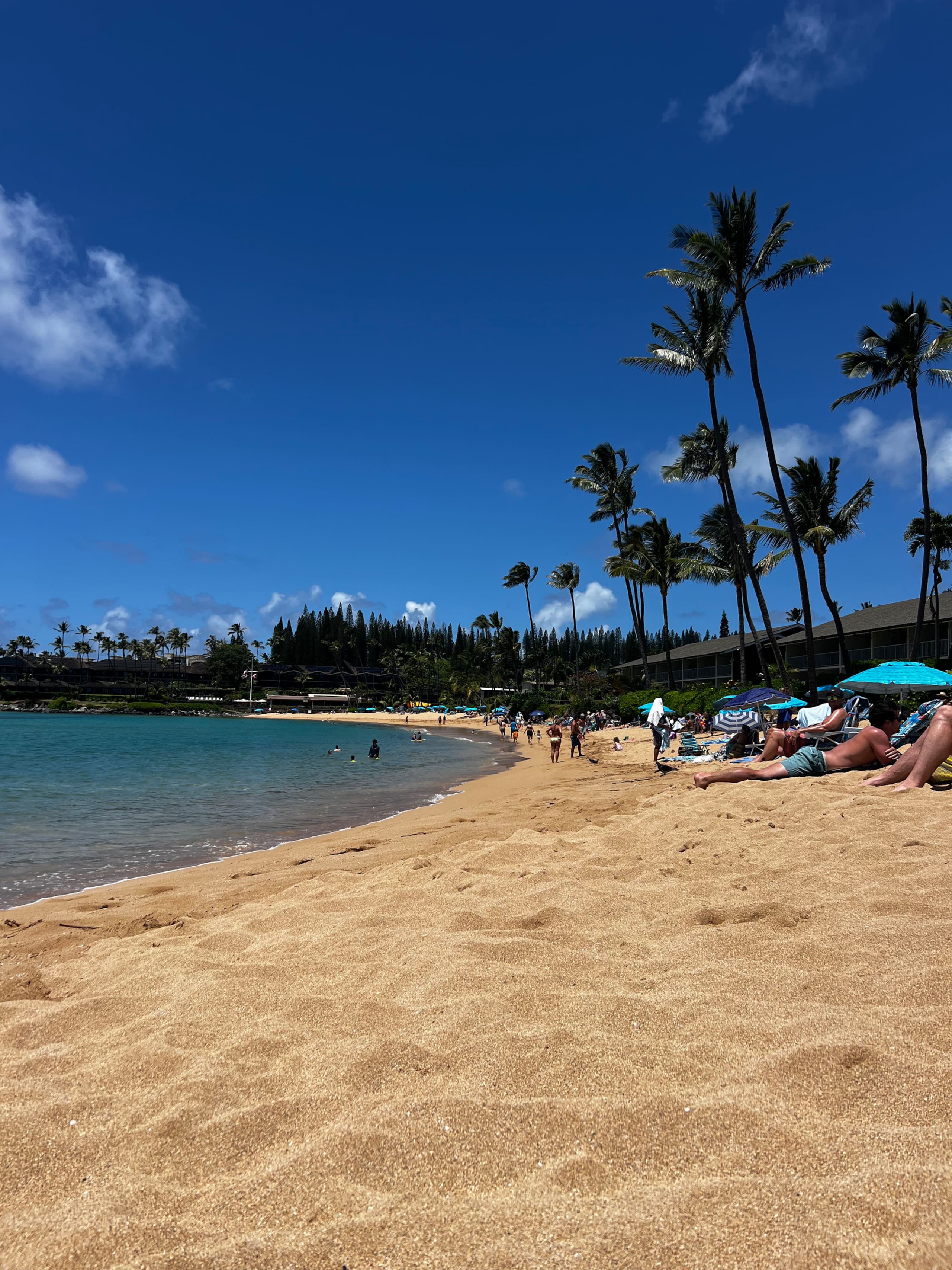 Spacious Maui retreat near Napili Bay AC & Pools - Image 9
