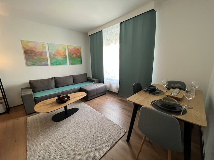 Friendly Space Apartment - Graz