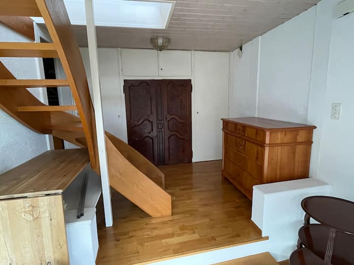 Duplex De Charme En Bord De Lac - Morges