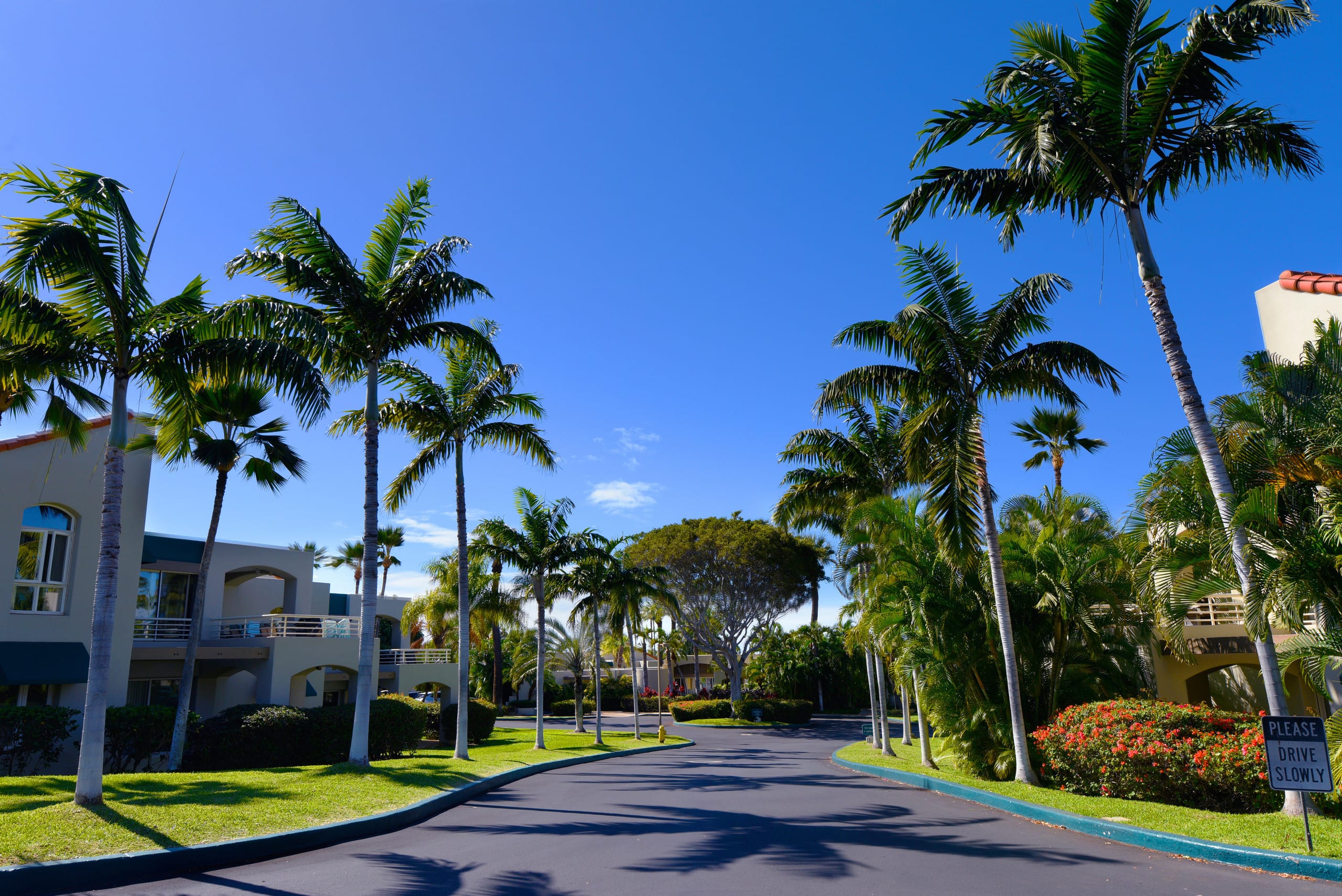 Condo in Wailea · ★5.0 · 1 bedroom · 2 beds · 2 private baths - Image 36