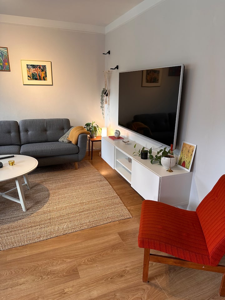 Cozy 2 Bedroom Apartment In Reykjavík - Reykjavík