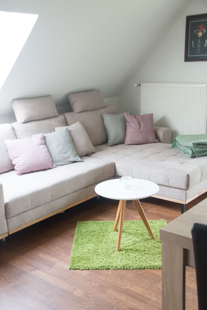 Ferienwohnung Frieda Im Schwarzwald - Belchen