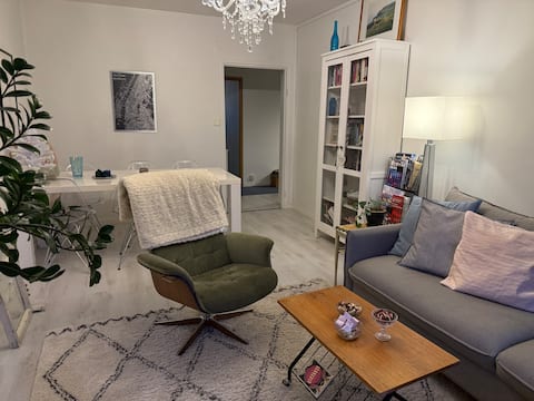 Popular Airbnb listing: The pearl of the city center – 69 m² next to the Nokia Arena in Kyttälä B