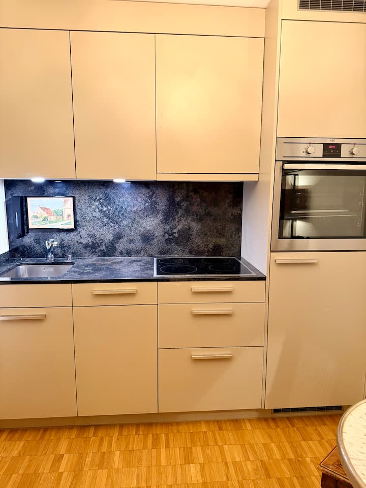 Stylish And Cozy Studio In Zurich - Central - Canton of Zürich