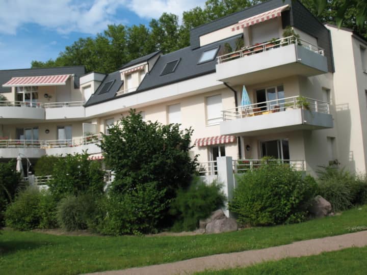 Aux Portes De Strasbourg : Le Gîte Des Vergers - Illkirch-Graffenstaden