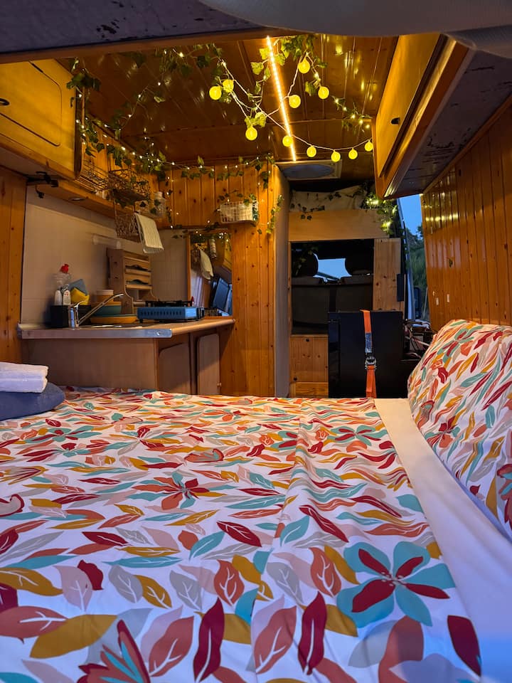 Mallorca En Camper. You Will Not Forget It - Palma