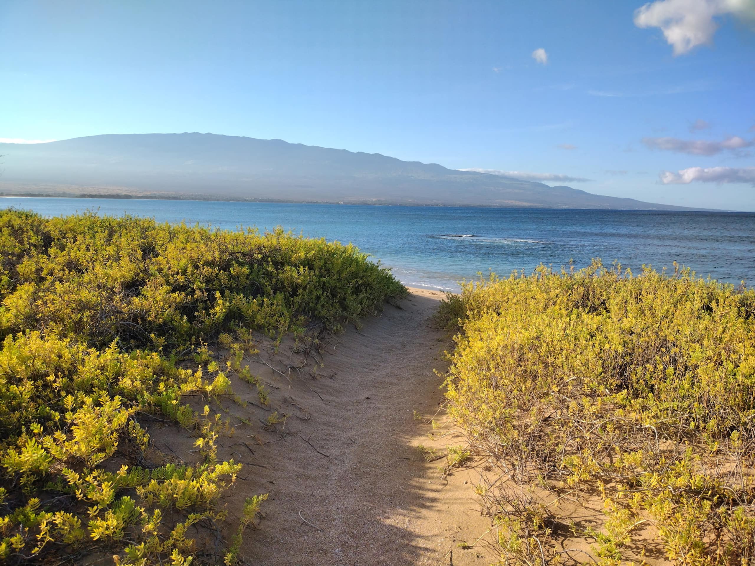 Steps to Beach Sand & Surf - Image 38