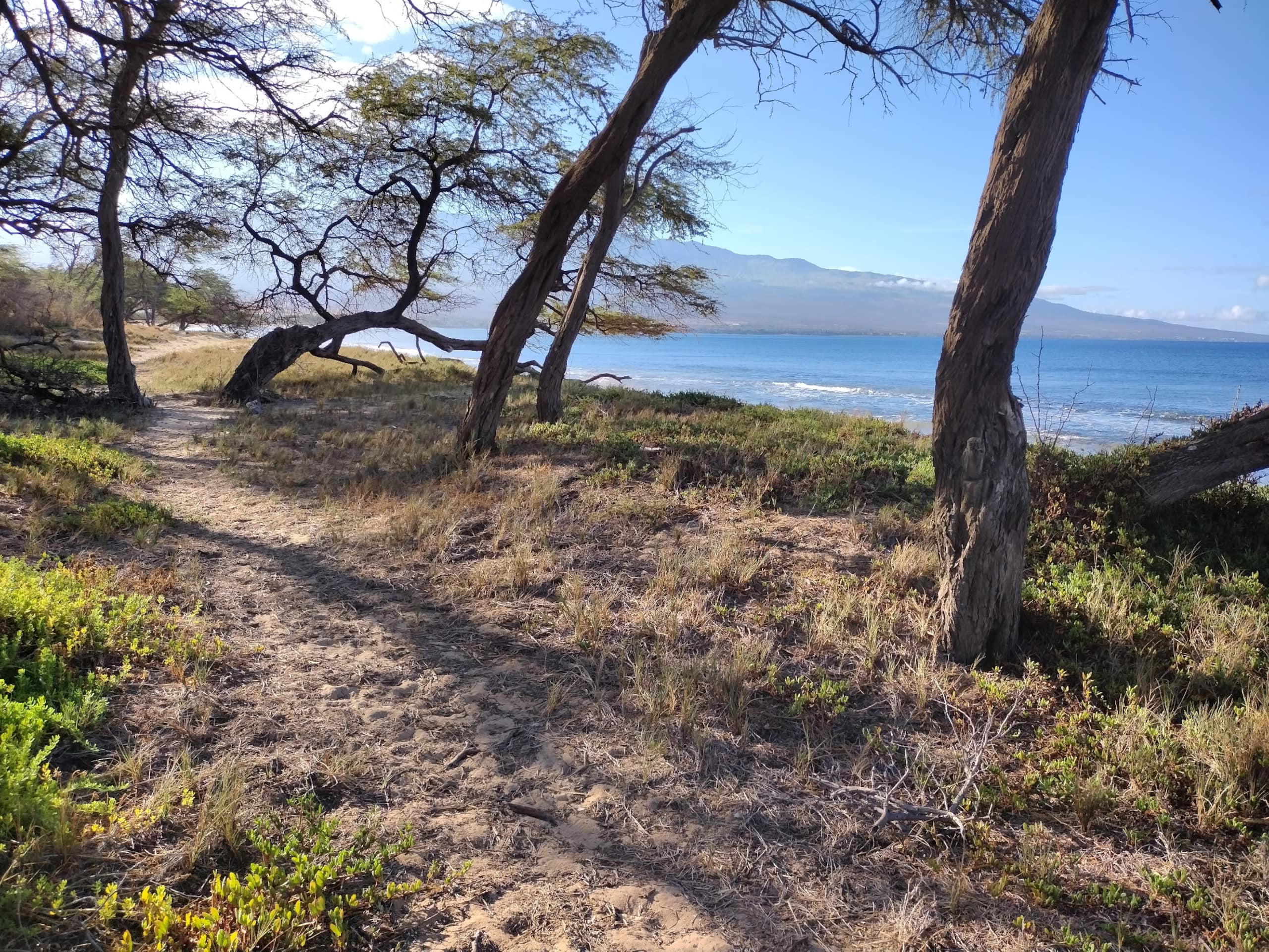 Steps to Beach Sand & Surf - Image 36