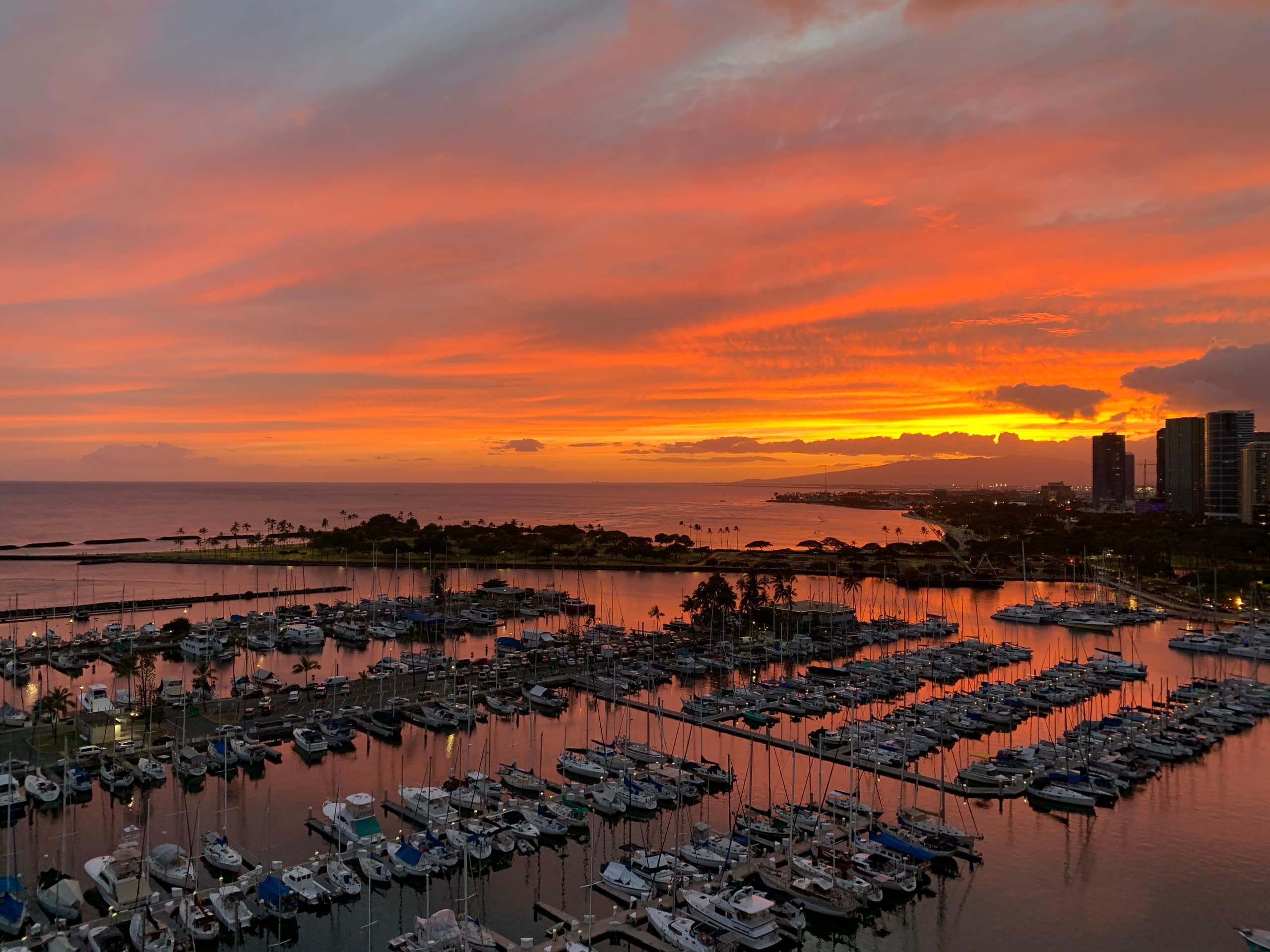 Condo in Honolulu · ★5.0 · 1 bedroom · 2 beds · 1 private bath - Image 16